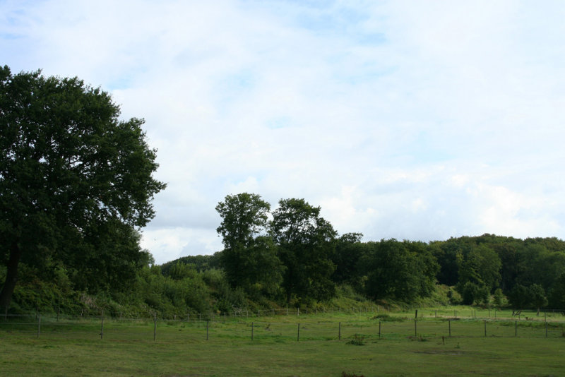 Danewerk, defence wall
