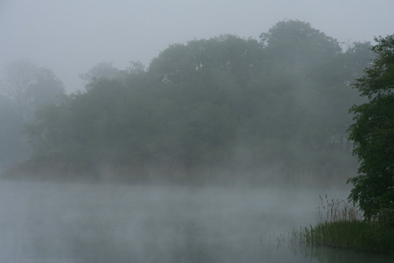 A misty morning
