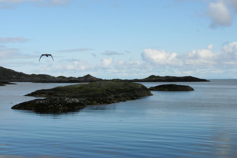  i Lofoten