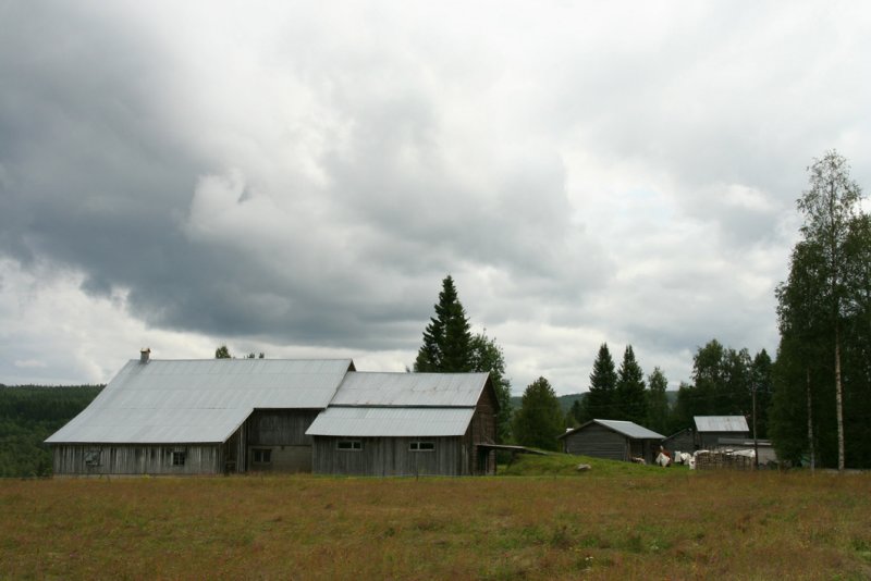 nskan