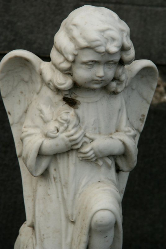 IMG_3870.JPG