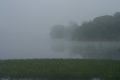 A misty morning
