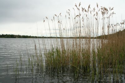 g5/81/81981/3/118803555.4OJ5IUfq.jpg