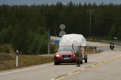 mobile roadblock
