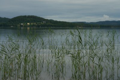 g5/81/81981/3/118808393.3H557d8N.jpg