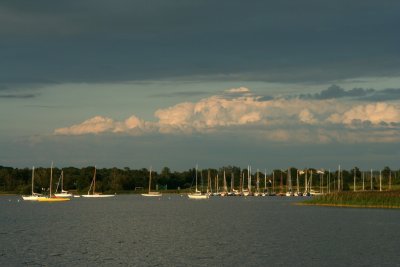 g5/81/81981/3/118808862.AkpHsTpt.jpg