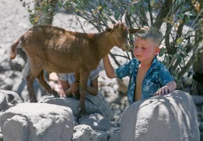 Jonathan Thomson and Goat Rio Mulege Mexico 1962