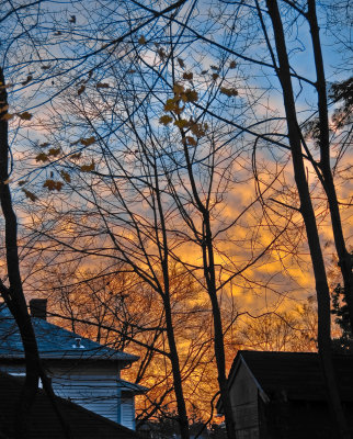 Sunrise in the Neighborhood
