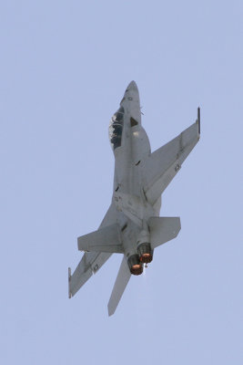 F-18F Super Hornet