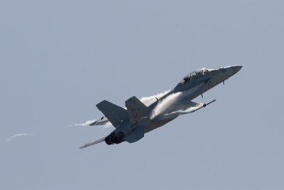 F-18F Super Hornet