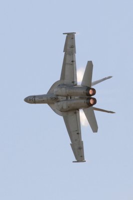 F-18F Super Hornet