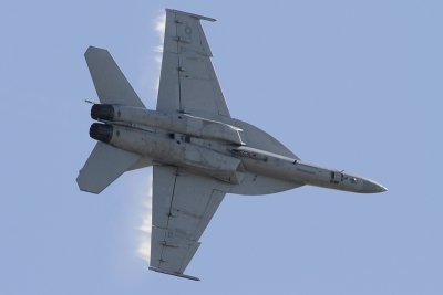 F-18F Super Hornet