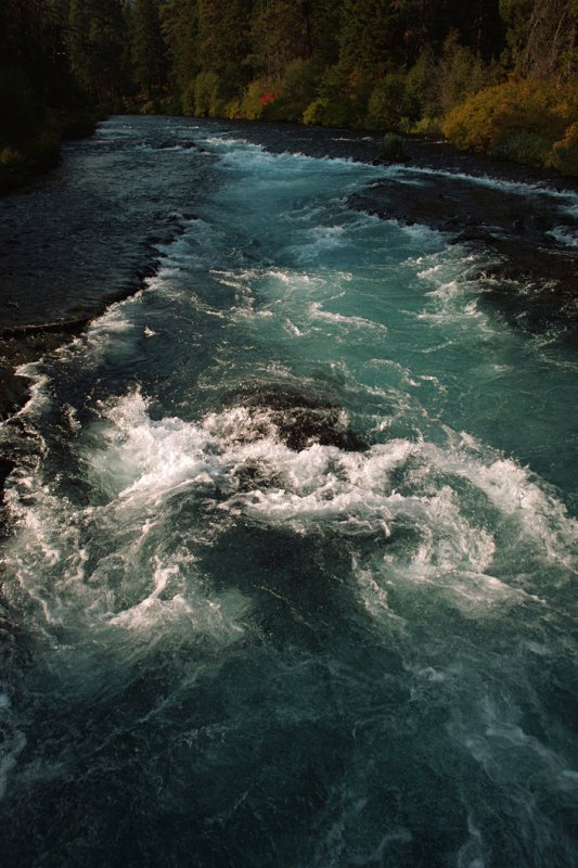 Rapids of the Metolius River, Deschutes National Forest, Oregon, 2008