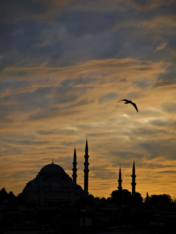 Suleymaniye Mosque from the Golden Horn, Istanbul, Turkey, 2009
