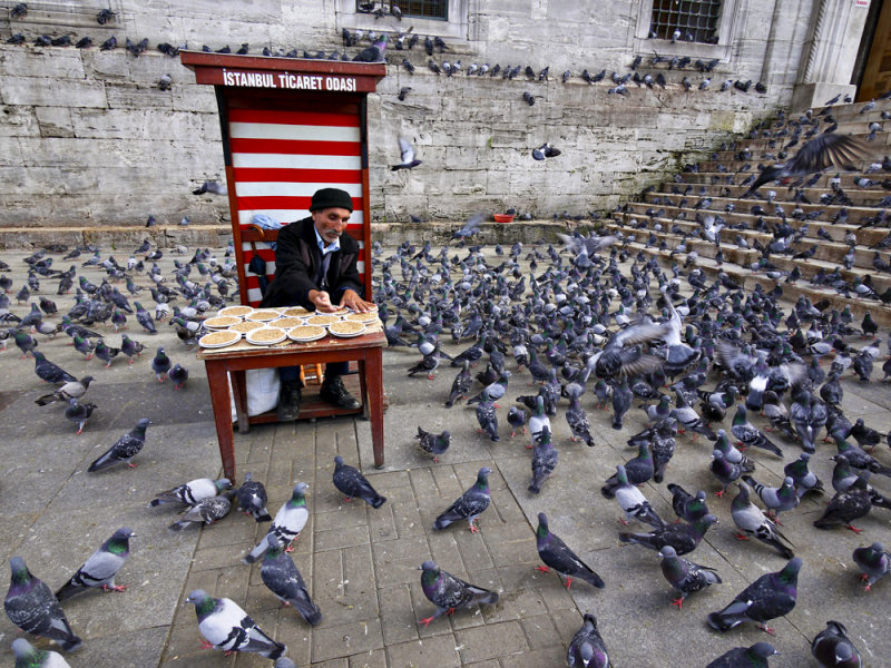 Pigeon feed, Istanbul, Turkey, 2009