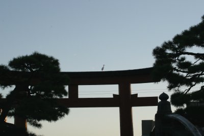 Torii gate