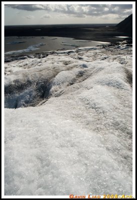 IMG_1132.jpg