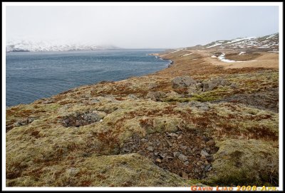 IMG_1255.jpg
