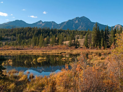 Cottonwood Slough Autumn Evening