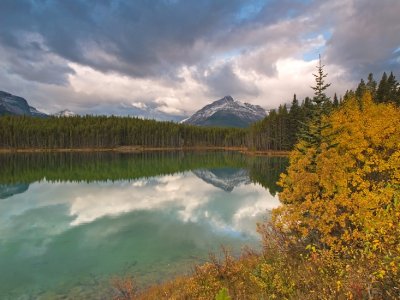 Herbert Lake Autumn
