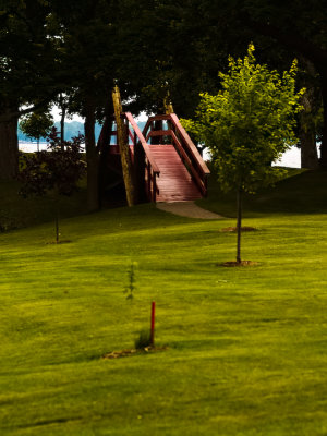 _7170334bridge