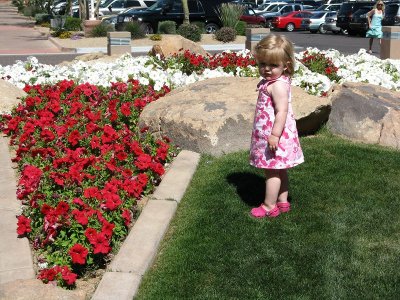 IMG_0185.JPG