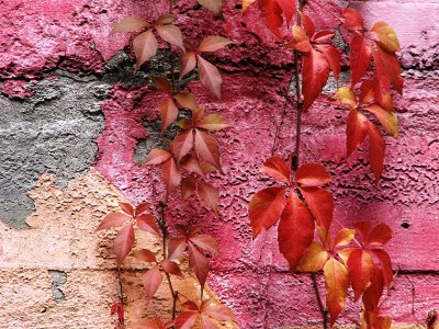 seasons of the year: autumn