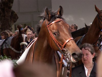 a day at the races01-10-2006