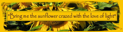banner sunflowers.jpg