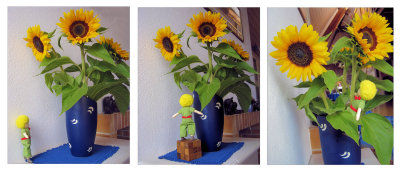 Sunflowers 32
