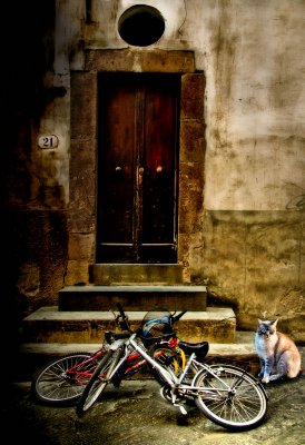 Exhausted bicycles