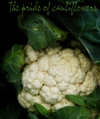 Eulogy on my cauliflower...