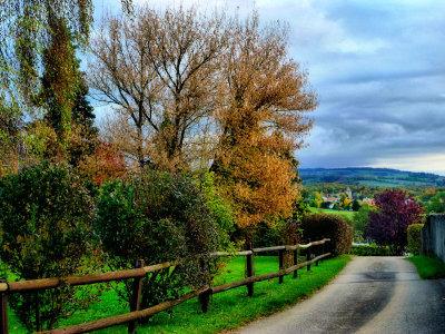 Walking to Givrins in a late October morning...