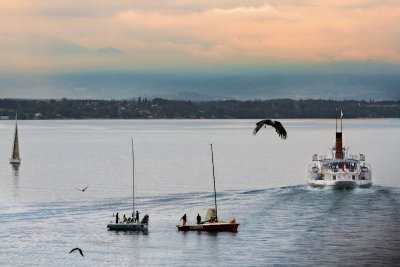 The lake is very crowded this evening...