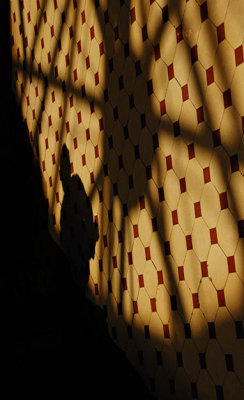 Shadowy Figure