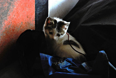 In the Underpass