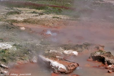 Hot Springs