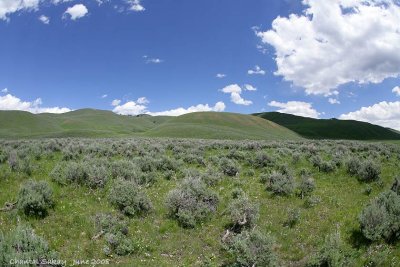 Lamar Valley