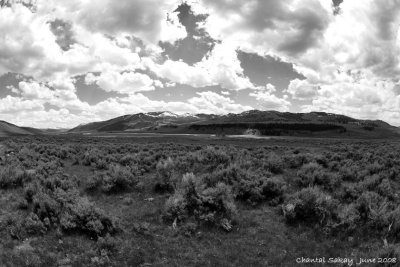 Lamar Valley