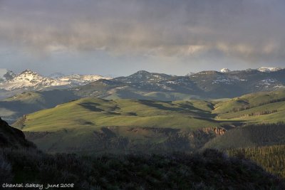 Tower Road Landscape