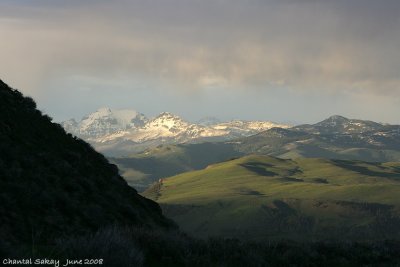 Tower Road Landscape