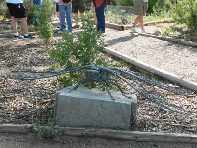 art 
Rio Grande Nature Center