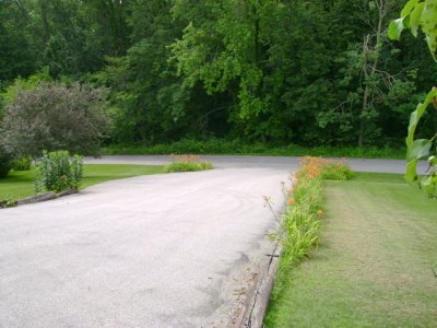 Daylilies along drive
by Janet