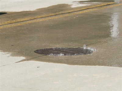 spouting manhole cover
Riverside nr Art Bldg