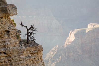 the grand canyon national park - june, 2008