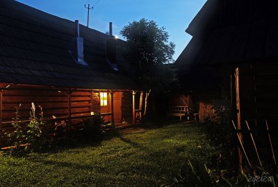 backyard of this cabin