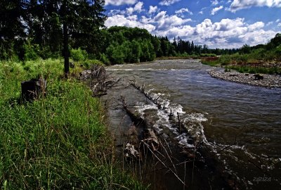 Bialka river