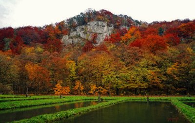 trout`s farm