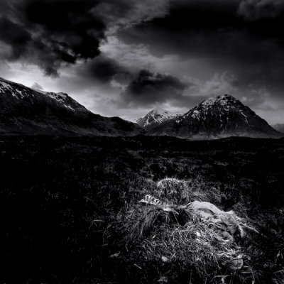 Landscapes