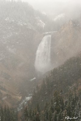 Yellowstone - Lower Falls in Snowstorm.jpg